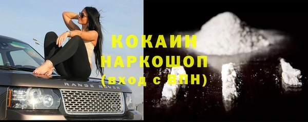 винт Алексин