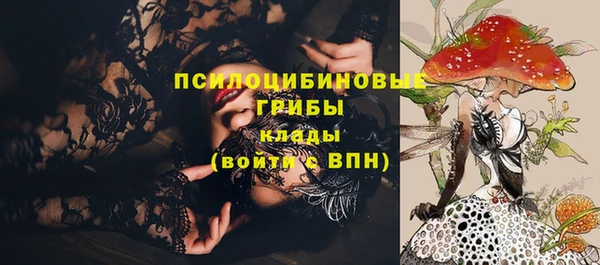 соль ск Алексеевка