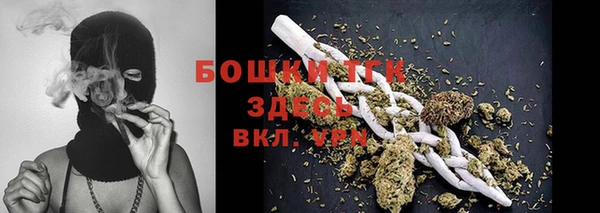 соль ск Алексеевка