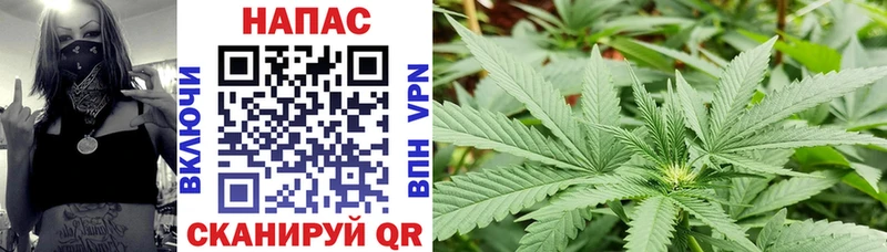 закладка  Жуковка  Марихуана SATIVA & INDICA 